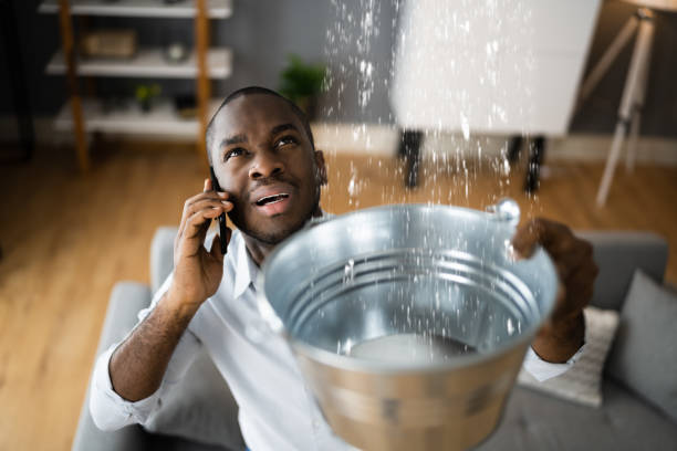 Best Fire Damage Restoration  in Hudson, FL
