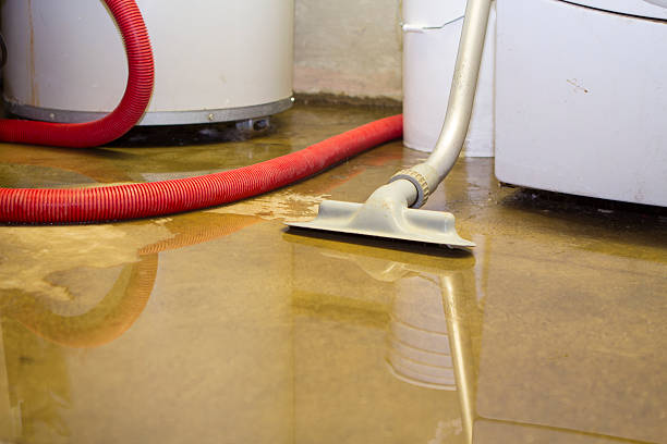 Best Water damage contractors near me  in Hudson, FL