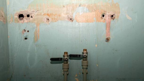 Best Professional water damage repair  in Hudson, FL