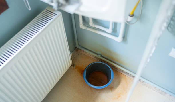 Best Water damage restoration near me  in Hudson, FL