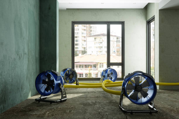 Best Local water damage restoration  in Hudson, FL