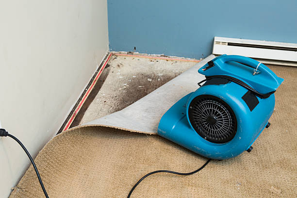 Best Carpet water damage restoration  in Hudson, FL